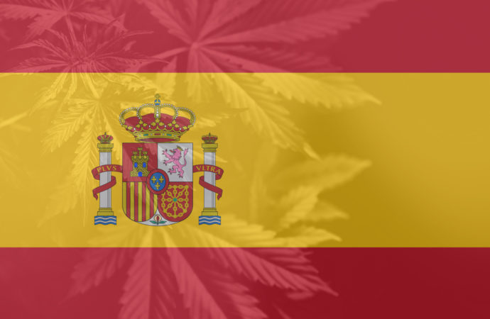 Španělsko dlouho očekává opožděnou regulaci léčebného konopí