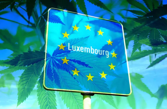 Businessofcannabis.com: Lucembursko ukončilo prohibici konopí!