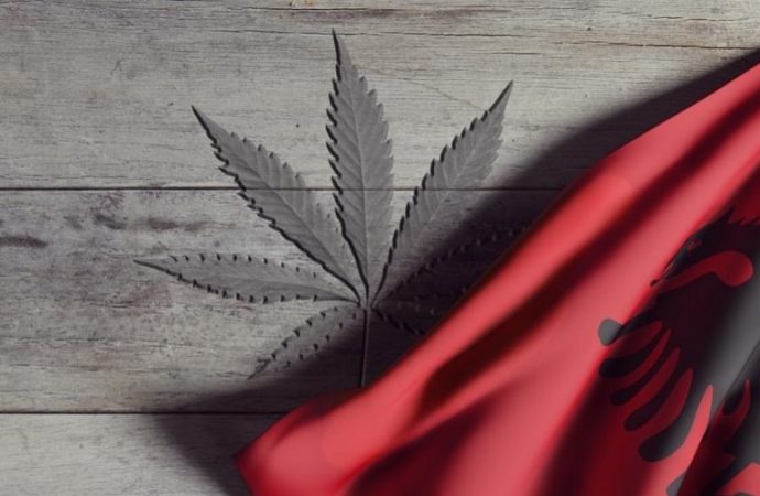 Cannabishealthnews: Albánie se přibližuje k legalizaci léčebného a průmyslového konopí 