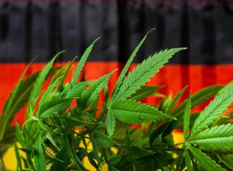 Cannabishealthnews: Německo postupuje vpřed s revidovaným plánem legalizace konopí – co je nejnovější?