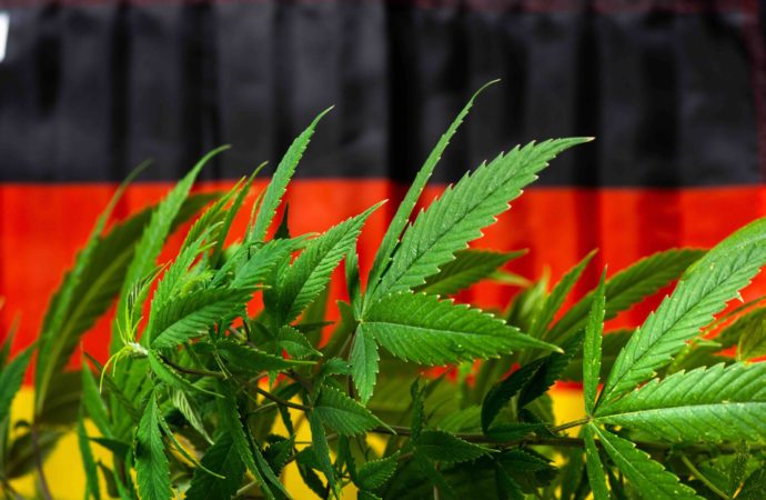 Cannabishealthnews: Německo postupuje vpřed s revidovaným plánem legalizace konopí – co je nejnovější?