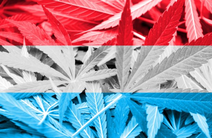 Marijuanamoment.net: Lucemburský parlament ve středu odhlasoval legalizaci držení a pěstování marihuany