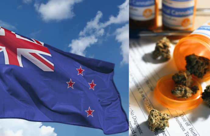 Nový Zéland – Nová zjištění vedou k volání po širším přístupu k léčebnému konopí!