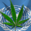 Newsweed.fr: Vysoký komisař OSN vyzývá k radikální změně globální protidrogové politiky