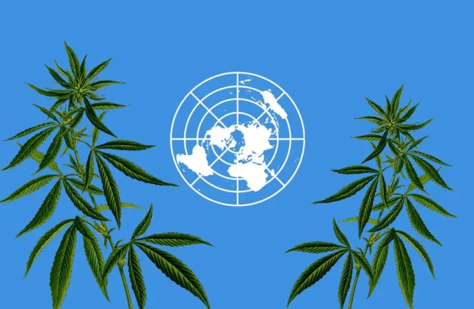 Cannabishealthnews.co.uk: 10 informací o konopí ze Světové zprávy OSN o drogách