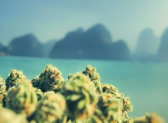 Cannabis Travel 2023: Nejlepší země Jižní Ameriky přátelské ke Cannabis