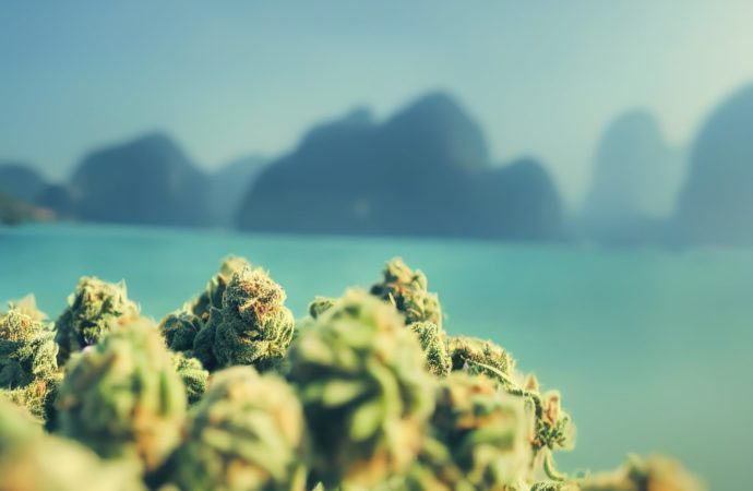 Cannabis Travel 2023: Nejlepší země Jižní Ameriky přátelské ke Cannabis