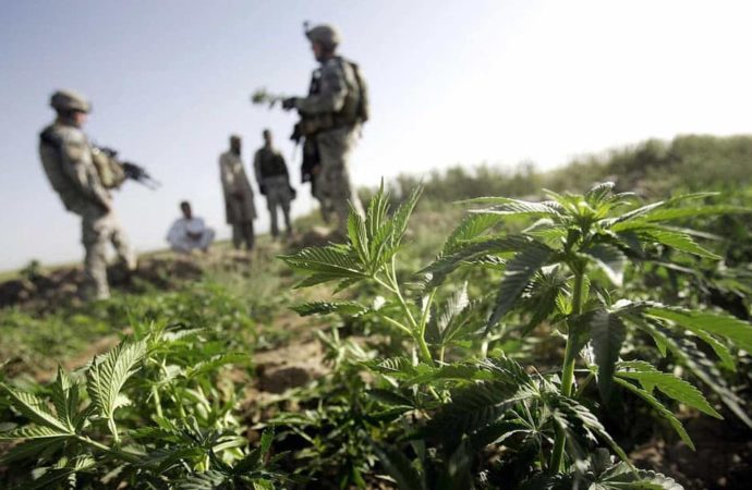 USA: Zákonodárci chtějí uvolnit pravidla užívání marihuany pro vojenské rekruty