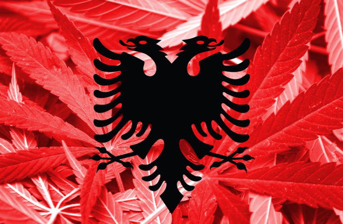 Albánie oficiálně osvětluje pěstování lékařského a průmyslového konopí