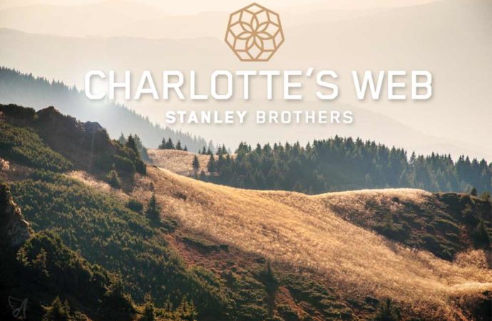 Vzhledem k tomu, že Charlotte’s Web je „v ohrožení“, zakladatelé volají po změnách na vrcholu vedení