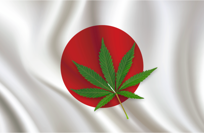 Japonsko kriminalizuje užívání konopí, ale povolí lékařskou marihuanu