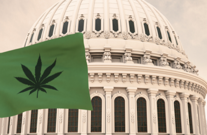Washington spouští online portál pro odškodnění lidí kriminalizovaných protiústavními odsouzeními za marihuanu/drogy