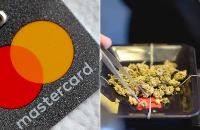 Forbes.com: Mastercard zakazuje transakce s marihuanou
