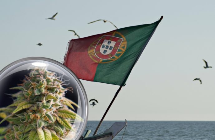 Portugalsko rozšiřuje rozsah dekriminalizace drog