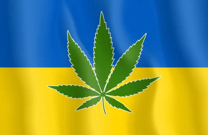 Ukrajina schválila první čtení zákona o legalizaci léčebného konopí
