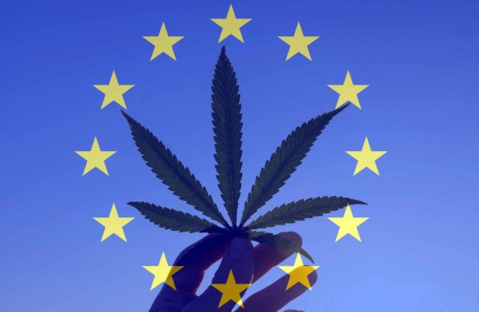 Emcdda.europa.eu: Konopí – současná situace v Evropě (European Drug Report 2023)