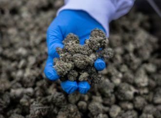 Benzinga.com: Cannabis farmáři v New Yorku mohou kvůli nedostatku maloobchodních prodejen vysypat 125 tun trávy