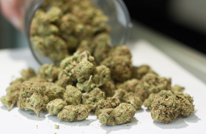 Obhájci tvrdí, že pozměňovací návrh v ústavě Minnesoty umožňuje prodej domácí marihuany