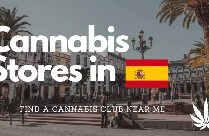 Španělsko – 3 Nejlepší Cannabis Cluby v Barceloně