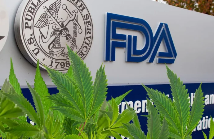 Businessofcannabis.com: FDA musí lépe regulovat konopné produkty