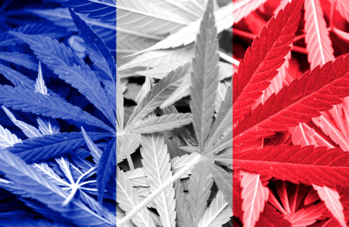 Francie – Jak je to s legální marihuanou?