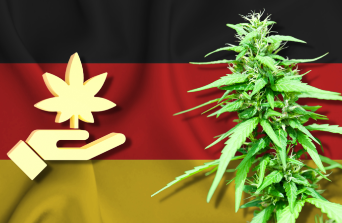 Echo24.cz: Německo míří k legalizaci konopí, zatím povolí omezené držení i pěstování