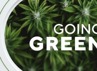 „Going Green“: Snímek o rekreační marihuaně v Minnesotě (Video)