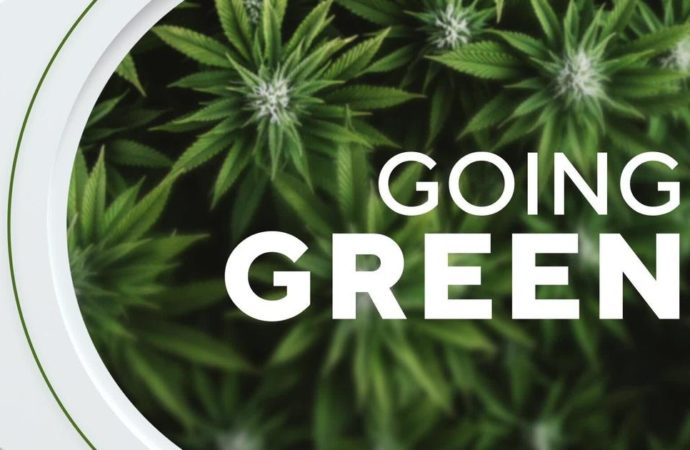 “Going Green”: Snímek o rekreační marihuaně v Minnesotě (Video)