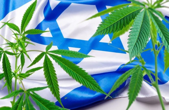Jpost.com: Legální lékařská marihuana: izraelští pacienti ztrácejí výhody