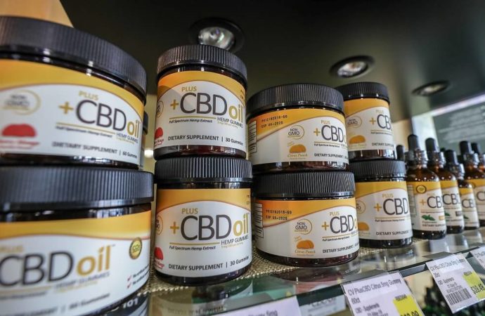 Businessofcannabis.com: Britský CBD průmysl je připraven ke startu: FSA čistí prostředí pro nové produkty