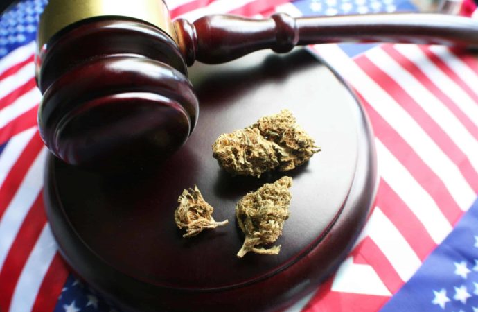 Společnost Cannabis Research Company plánuje žalobu proti DEA za nedodržení federálního zákona