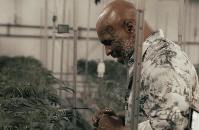 Cannabis prémiová značka Mikea Tysona „TYSON 2.0“ se nyní otevírá i v Mississippi (Video)