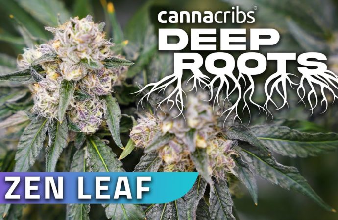 Zen Leaf – San Diego Cannabis