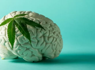 Theguardian.com: Studie účinků konopí na mozek se snaží přilákat černé britské uživatele