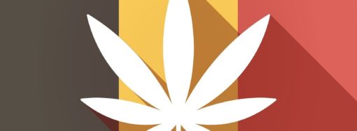 Internationalcbc.com: Belgické úsilí o legalizaci marihuany získává velkou podporu