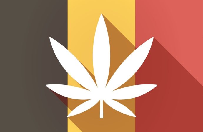 Internationalcbc.com: Belgické úsilí o legalizaci marihuany získává velkou podporu