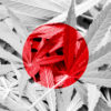 Japonsko v roce 2023 zaznamenalo rekordní množství Cannabis případů, 70 % mezi mladými lidmi