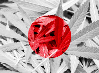 Japonsko v roce 2023 zaznamenalo rekordní množství Cannabis případů, 70 % mezi mladými lidmi