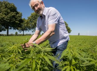 Lucembursko bojuje za výrobu vlastní zásoby léčebné marihuany