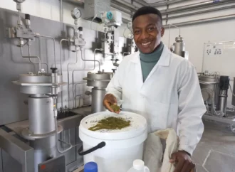 JAR – TUT a CSIR Cannabis Hub nabízí podnikatelům ekonomické příležitosti 