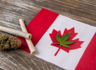 Nowtoronto.com: Starší Kanaďané užívají Cannabis v nápojích, zatímco mladí se věnují vapování!