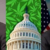 Forbes.com: USA – Senátoři předkládají revidovaný zákon o bankovnictví marihuany “SAFER”