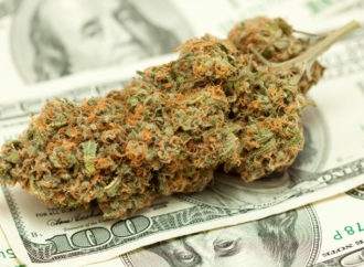 420intel.com: Zpráva uvádí že v srpnu byl na Floridě prodej marihuany za 92 milionů dolarů