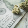 Reuters.com: Cannabis průmysl si stěžuje, že se sice Americký Senát zabývá reformou konopného bankovnictví, ale …