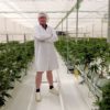 Uvnitř farmy na lékařskou marihuanu (Video)