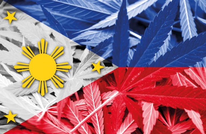 Manilatimes.net: Filipíny zpět legalizují lékařskou marihuanu