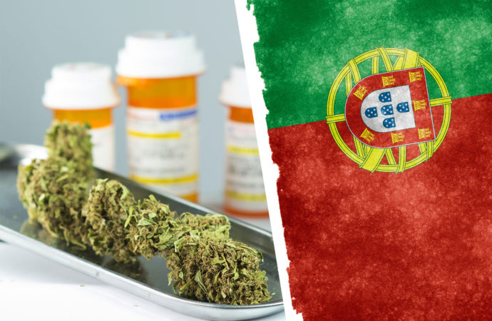 Businesswire.com: Zpráva o regulaci CBD a konopí v Portugalsku 2023