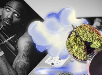 420Intel.com: Leafly řeší právní spor o Tupacovu fotku