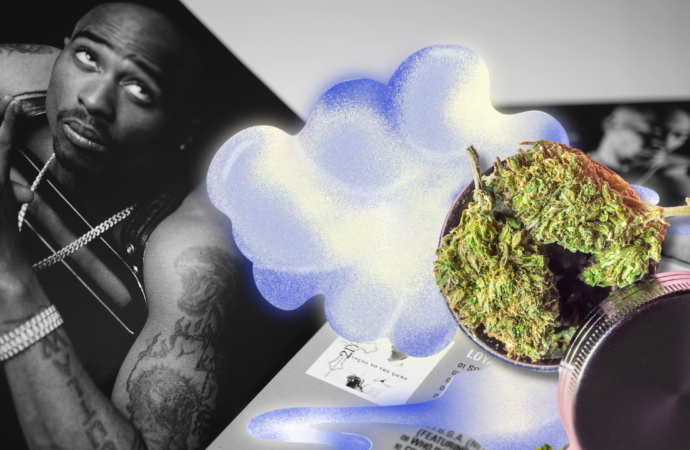 420Intel.com: Leafly řeší právní spor o Tupacovu fotku