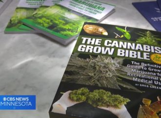 Cbsnews.com: Poptávka po vzdělávacích kurzech o konopí v Minnesotě po legalizaci roste (Video)